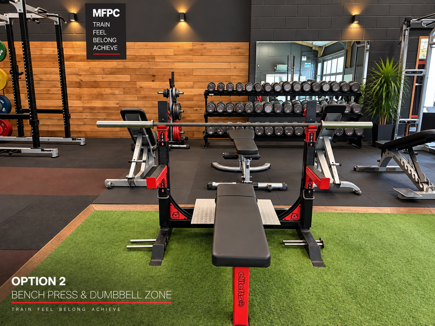 Bench press and dumbbell area